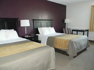 double_purple_two1-300x225-300x225