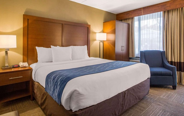 newroomtype11