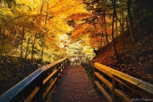 Fall Color Tour Munising